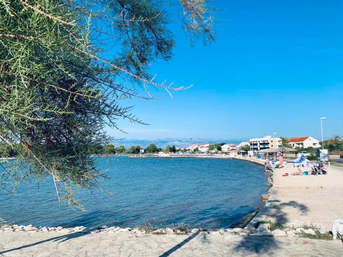 Apartman Gloria *
